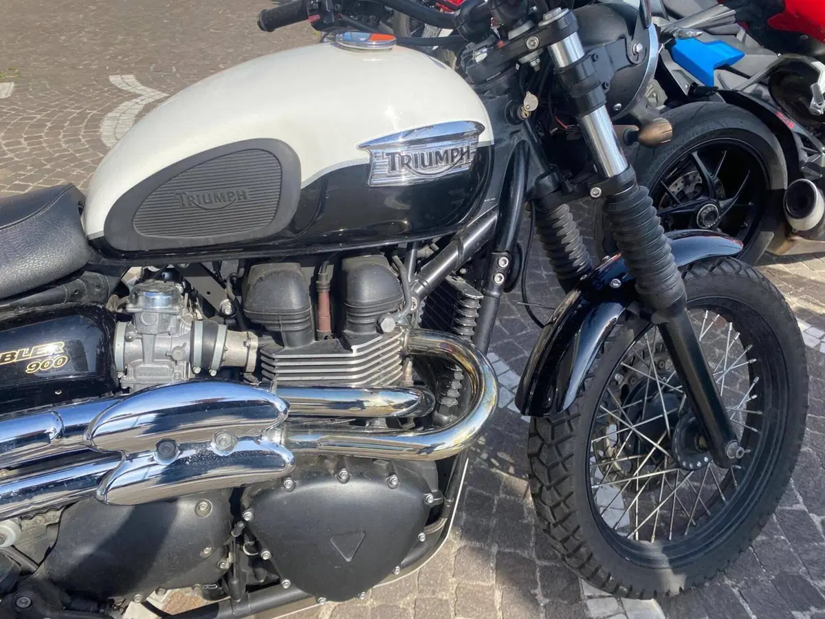 Triumph Scrambler (2006 - 17) (6)