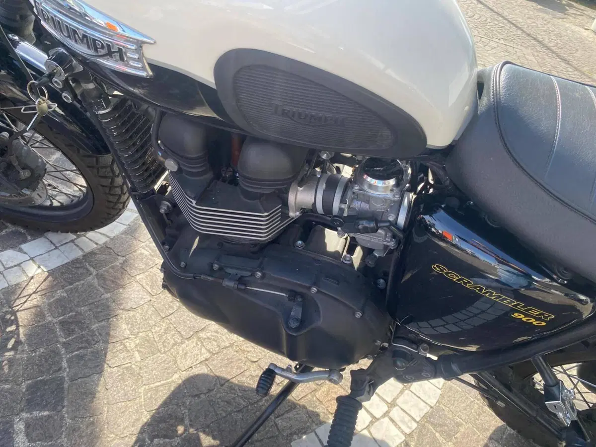 Triumph Scrambler (2006 - 17) (10)