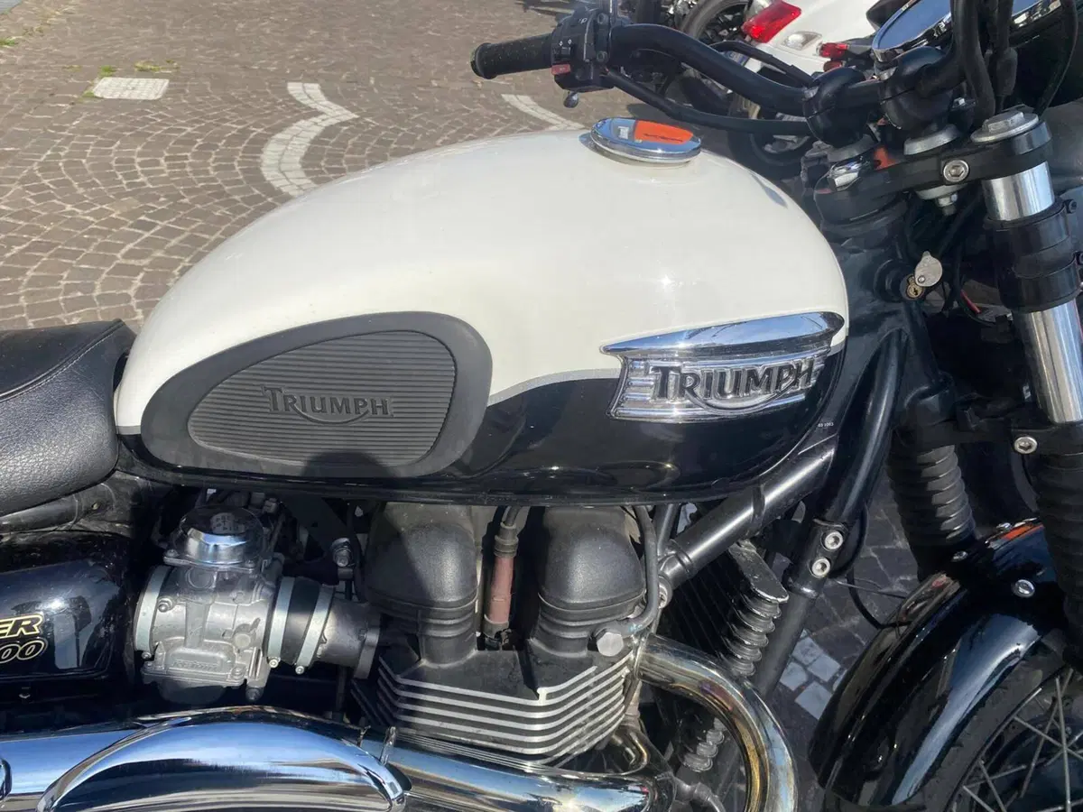 Triumph Scrambler (2006 - 17) (5)
