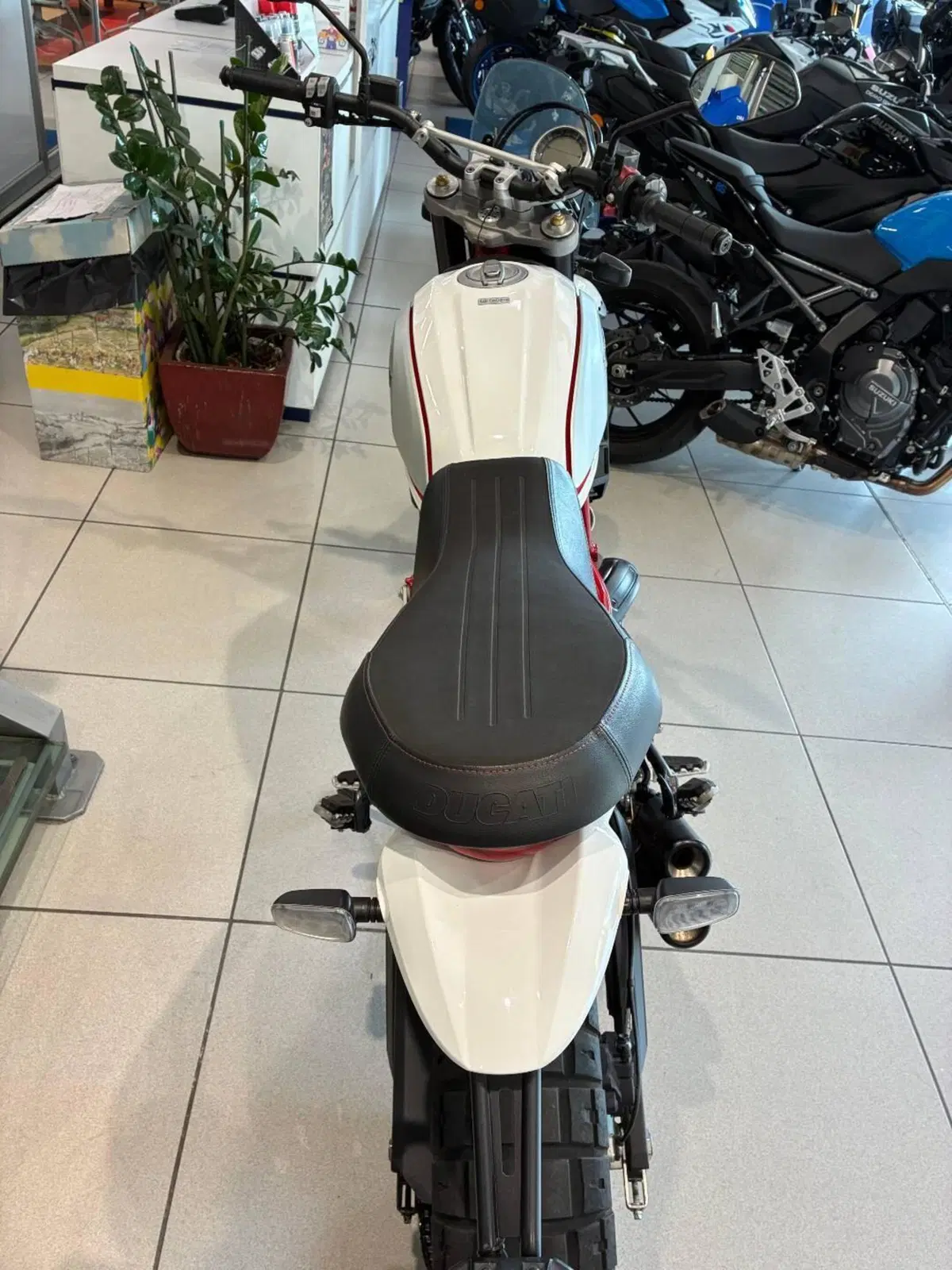 Ducati Scrambler 800 Desert Sled (2017 - 20) (4)