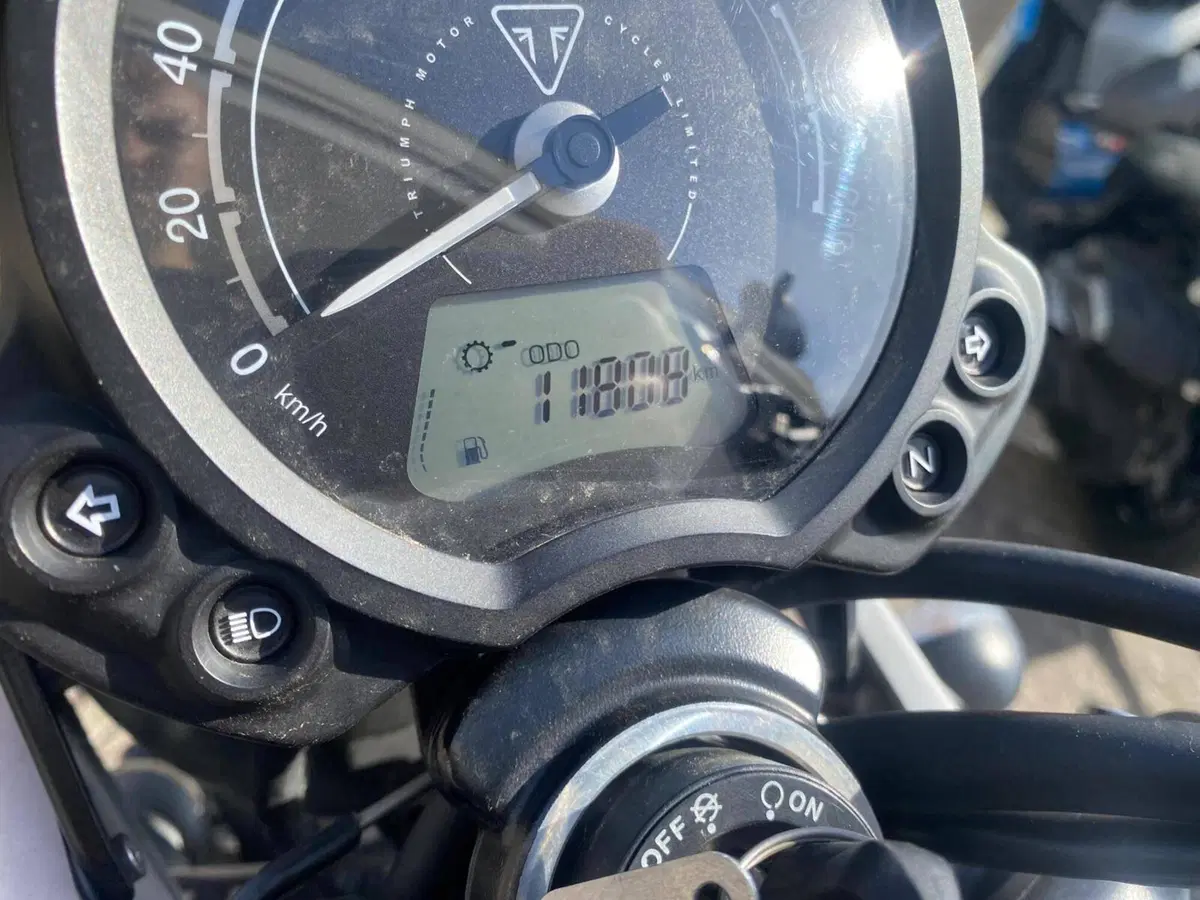 Triumph Street Scrambler 900 (2021 - 22) (3)