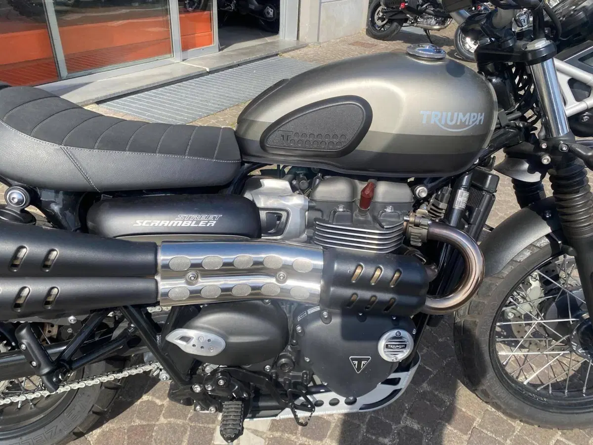 Triumph Street Scrambler 900 (2021 - 22) (8)