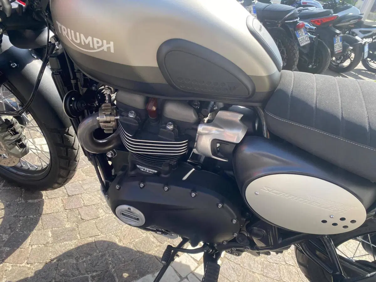 Triumph Street Scrambler 900 (2021 - 22) (9)