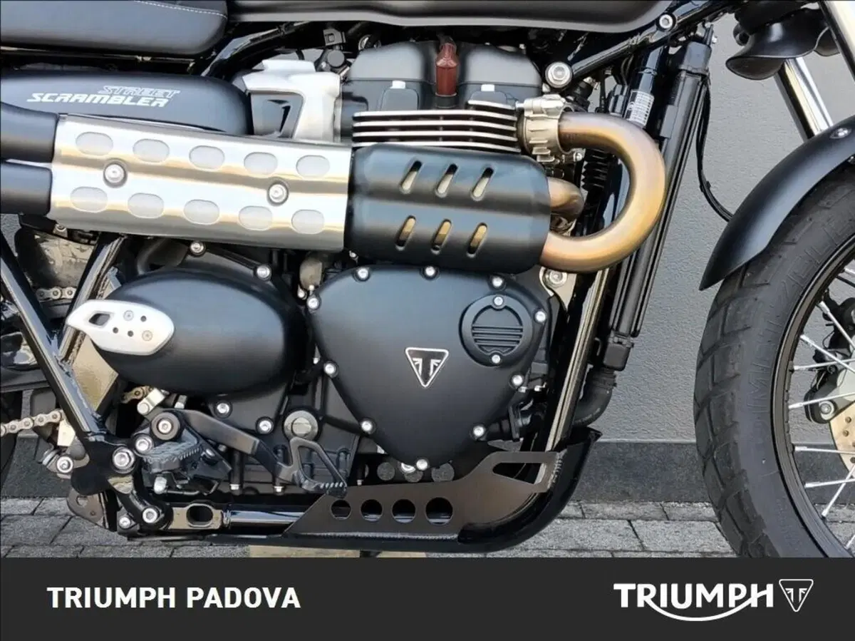 Triumph Street Scrambler 900 Sandstorm (2021 - 22) (3)