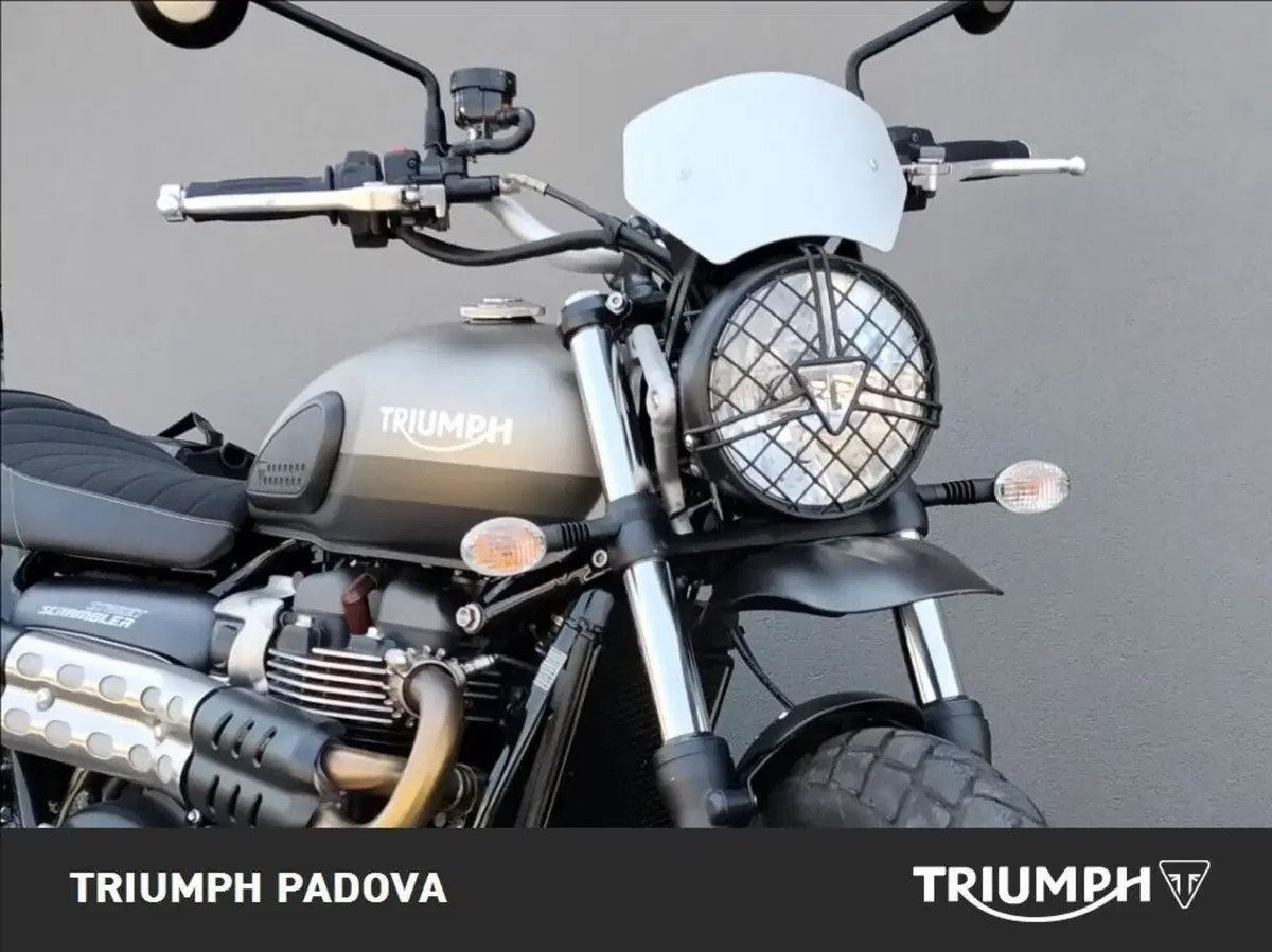 Triumph Street Scrambler 900 Sandstorm (2021 - 22) (5)