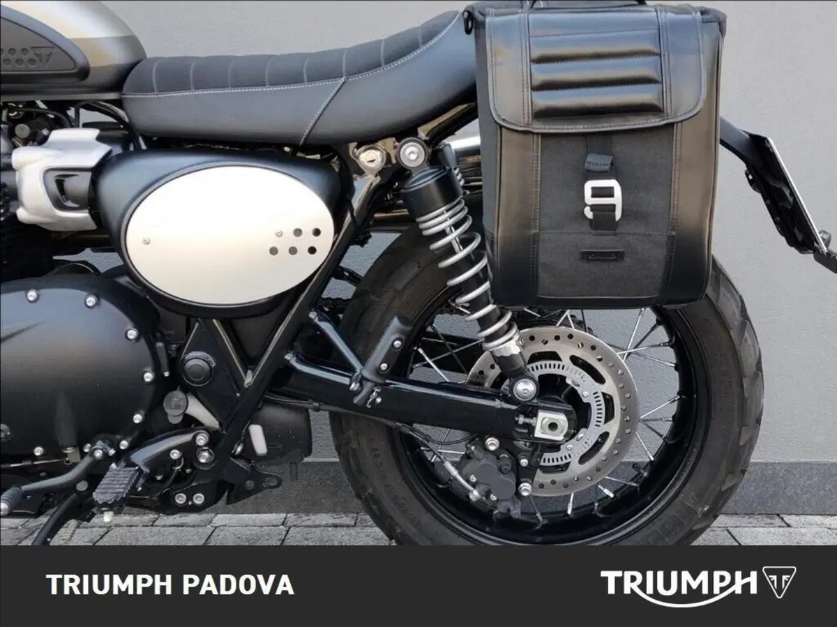 Triumph Street Scrambler 900 Sandstorm (2021 - 22) (7)