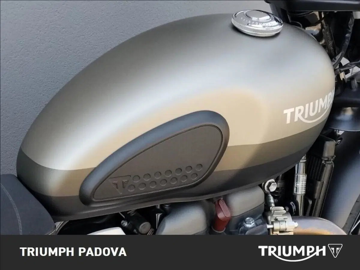 Triumph Street Scrambler 900 Sandstorm (2021 - 22) (4)