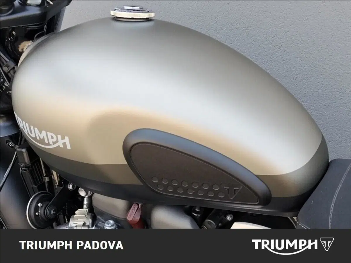 Triumph Street Scrambler 900 Sandstorm (2021 - 22) (9)