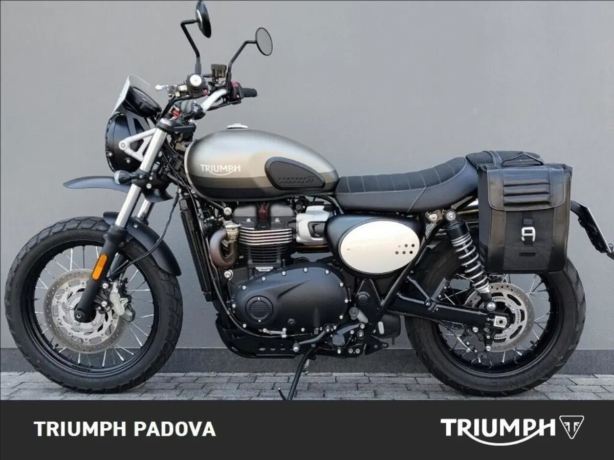 Triumph Street Scrambler 900 Sandstorm (2021 - 22) (6)