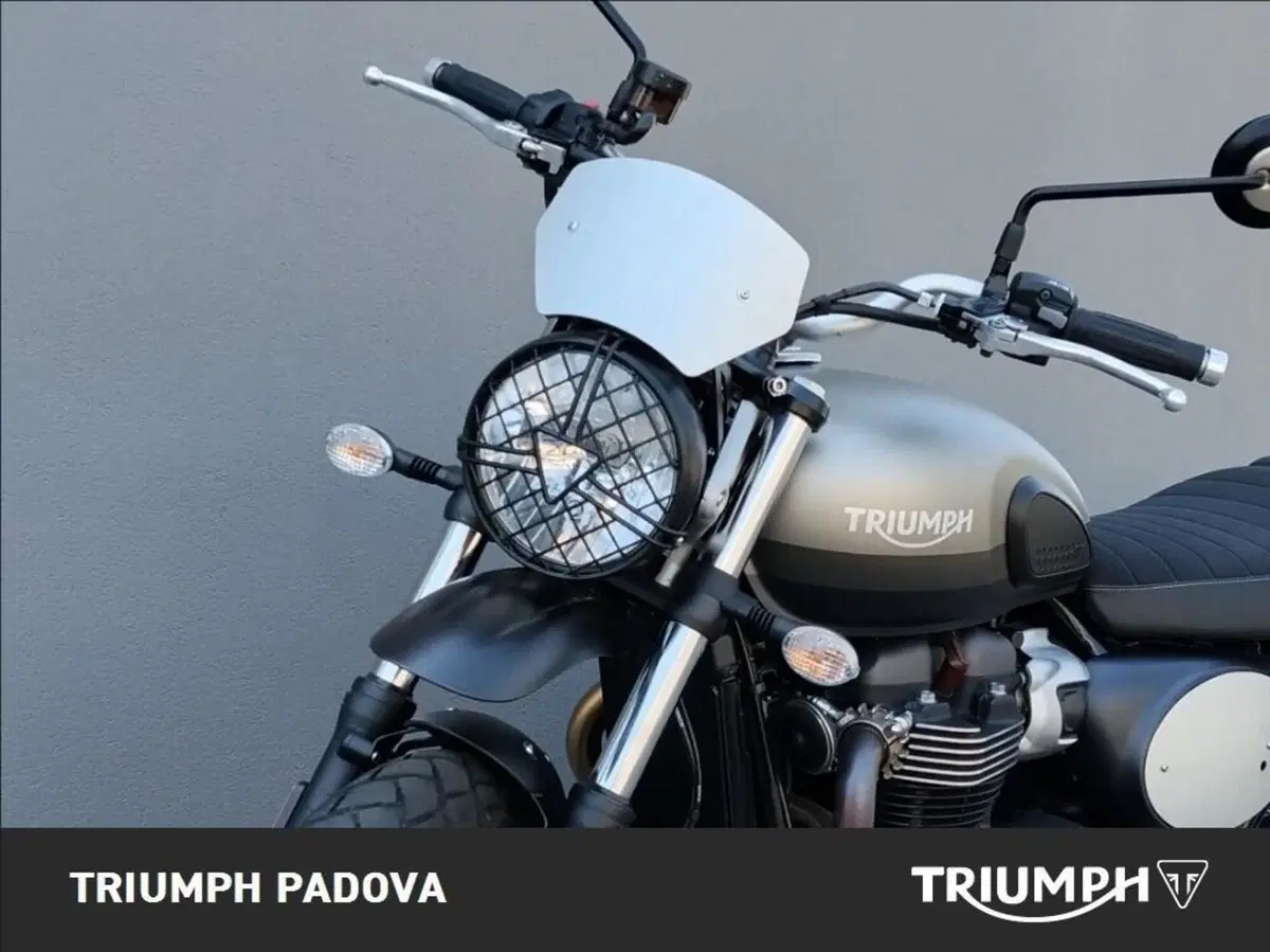 Triumph Street Scrambler 900 Sandstorm (2021 - 22) (10)