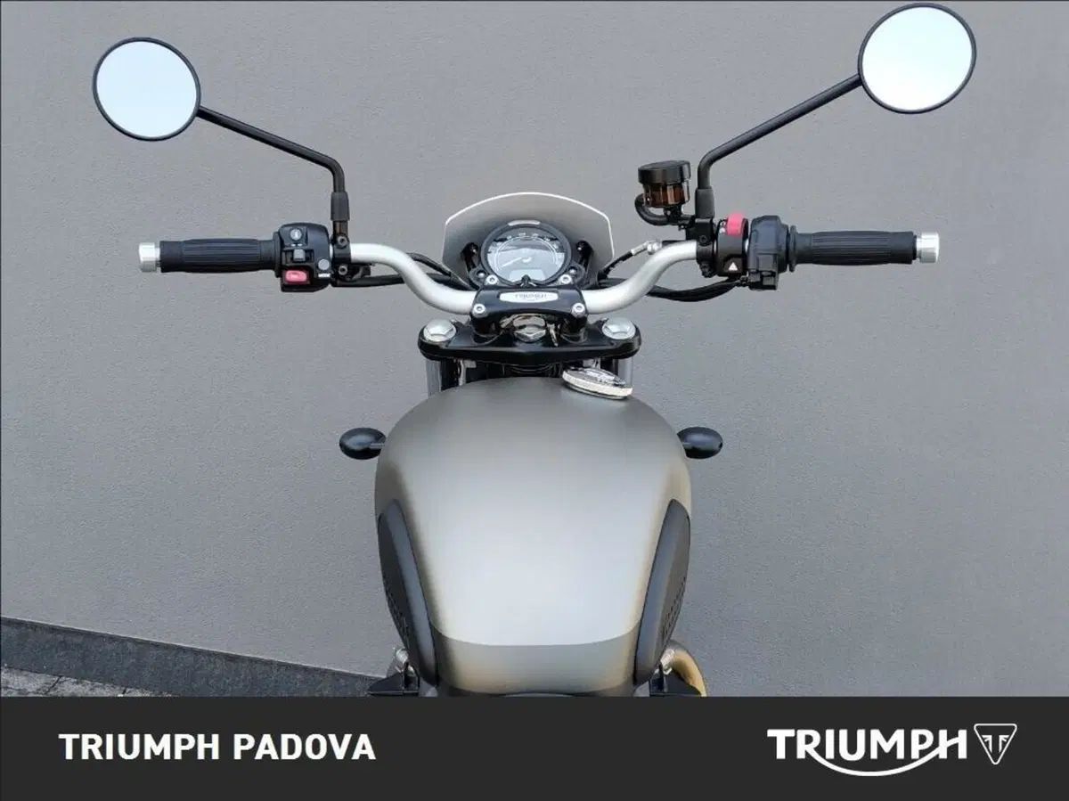 Triumph Street Scrambler 900 Sandstorm (2021 - 22) (11)