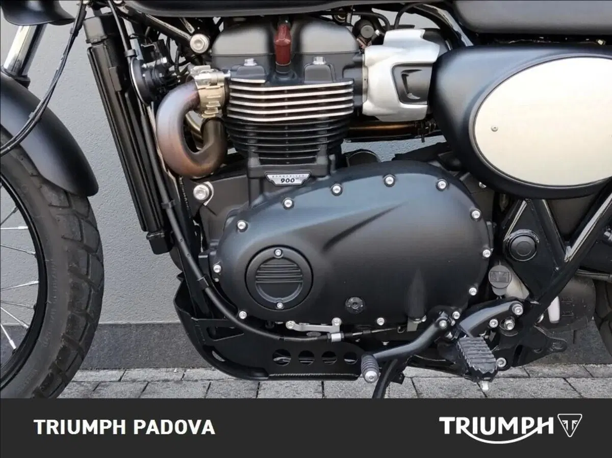 Triumph Street Scrambler 900 Sandstorm (2021 - 22) (8)