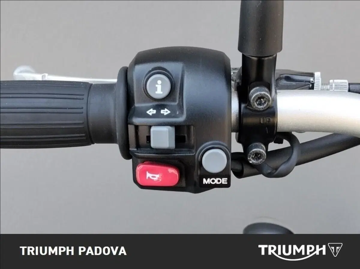 Triumph Street Scrambler 900 Sandstorm (2021 - 22) (12)