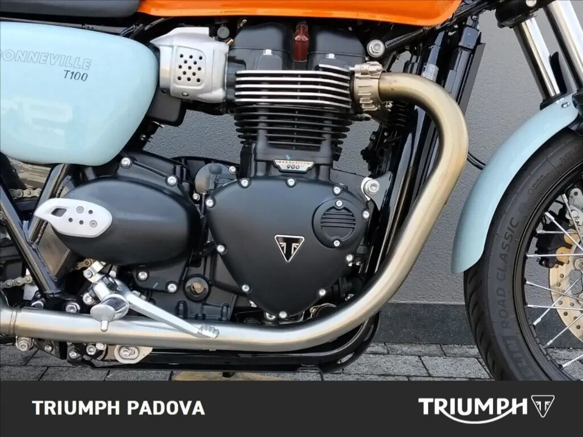 Triumph Bonneville T100 (2021 - 25) (3)