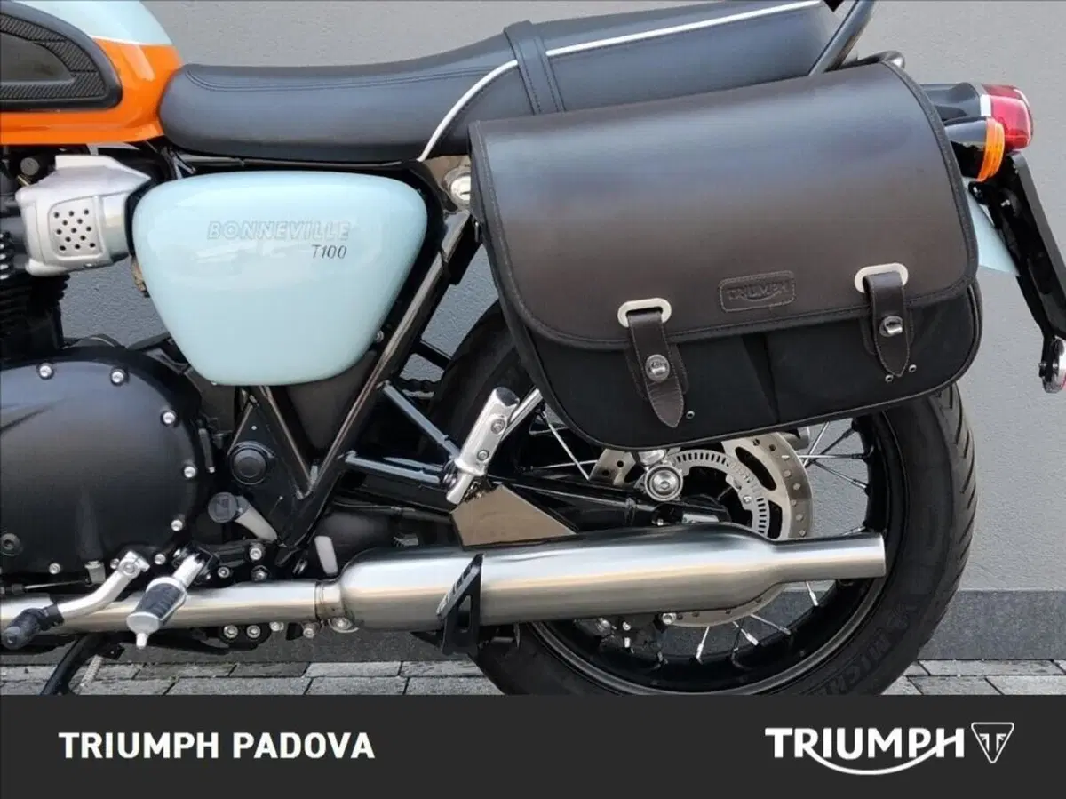 Triumph Bonneville T100 (2021 - 25) (7)