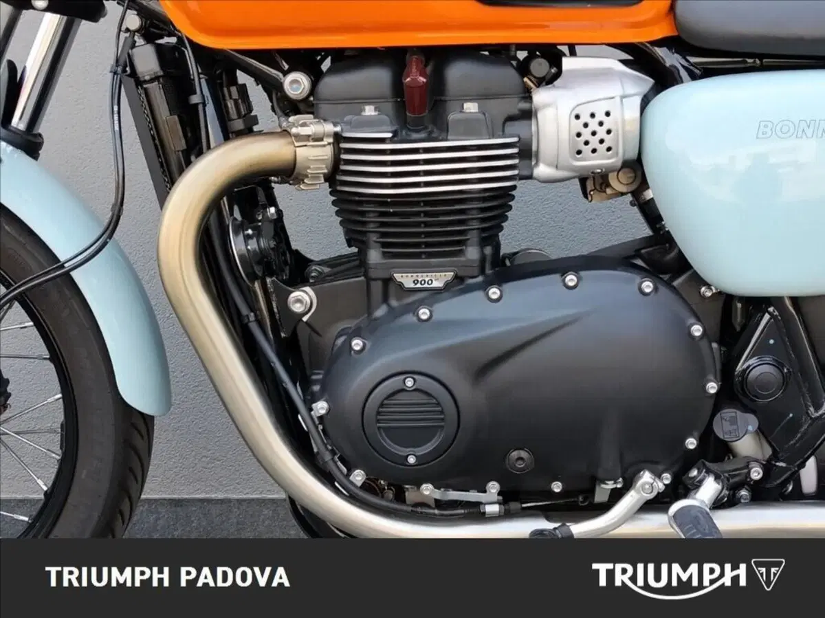 Triumph Bonneville T100 (2021 - 25) (8)