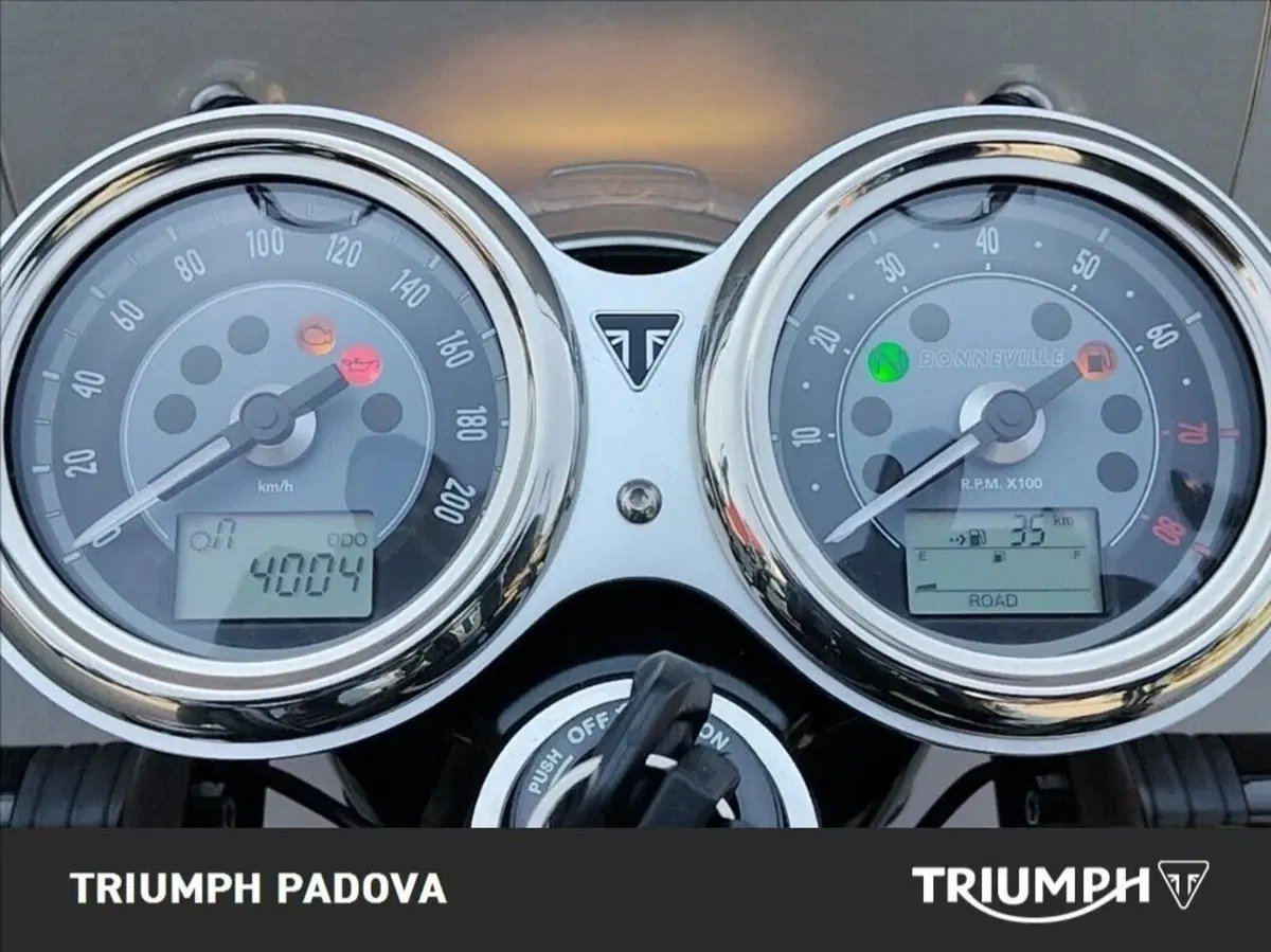 Triumph Bonneville T100 (2021 - 25) (13)