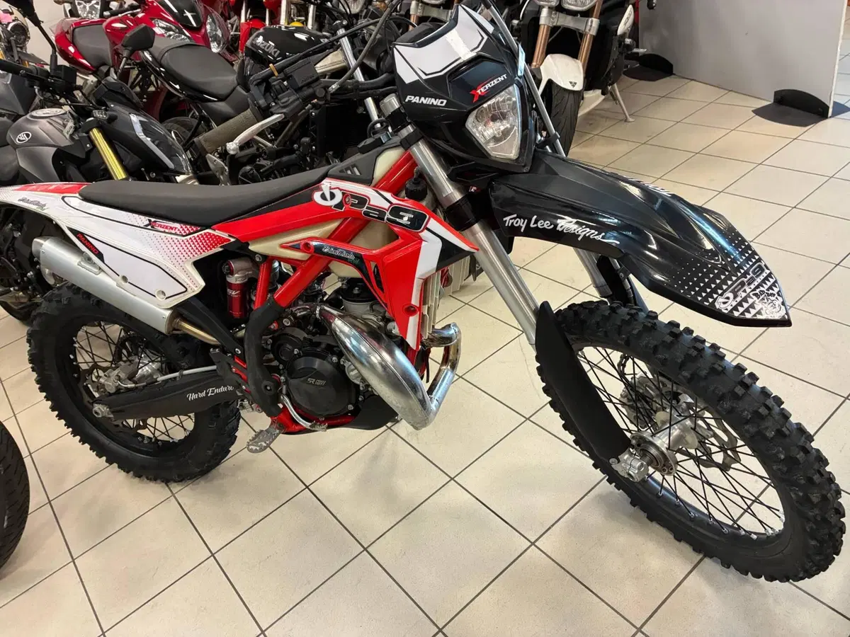 Betamotor Xtrainer 300 2T (2023) (2)