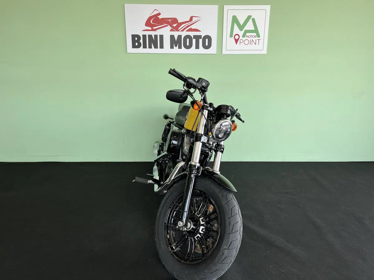 Harley-Davidson XL 1200 X Forty-Eight (2018) (4)