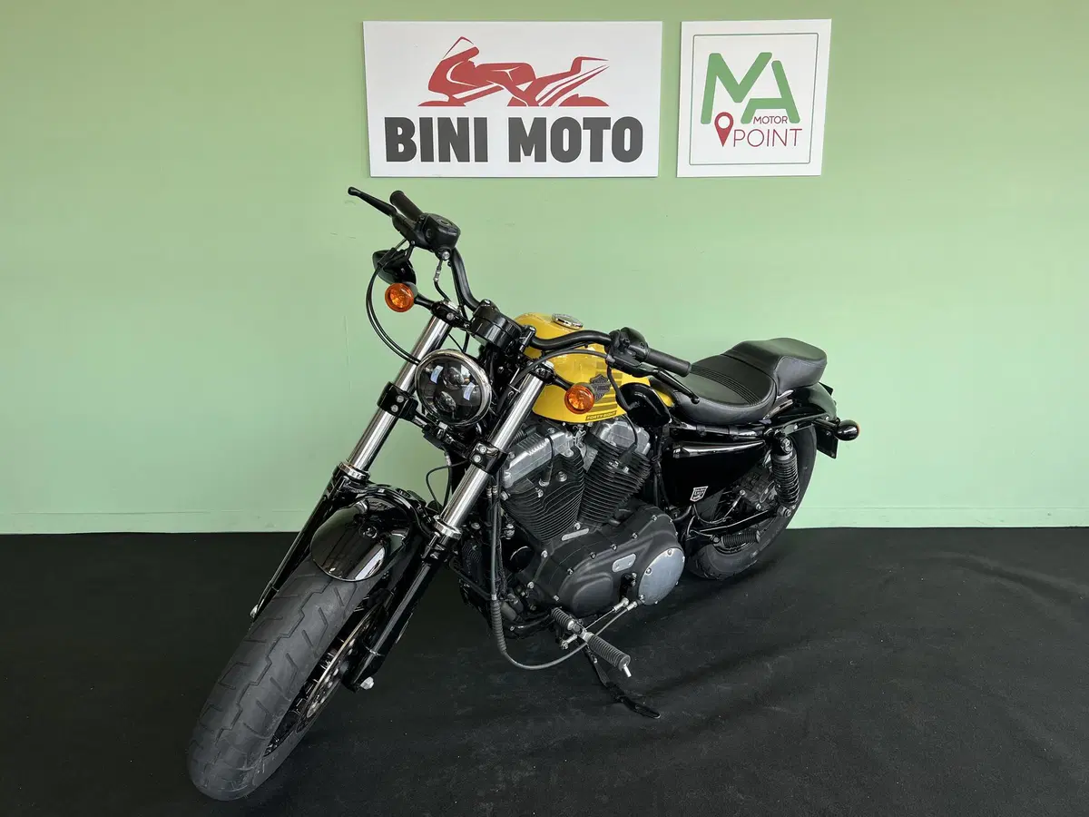 Harley-Davidson XL 1200 X Forty-Eight (2018) (5)