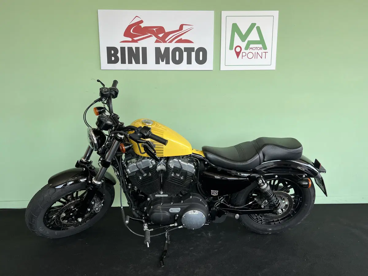 Harley-Davidson XL 1200 X Forty-Eight (2018) (6)
