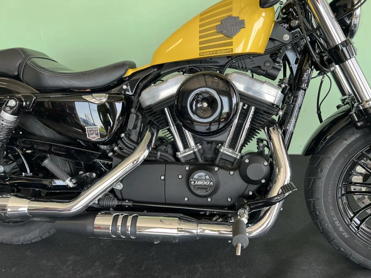 Harley-Davidson XL 1200 X Forty-Eight (2018) (10)