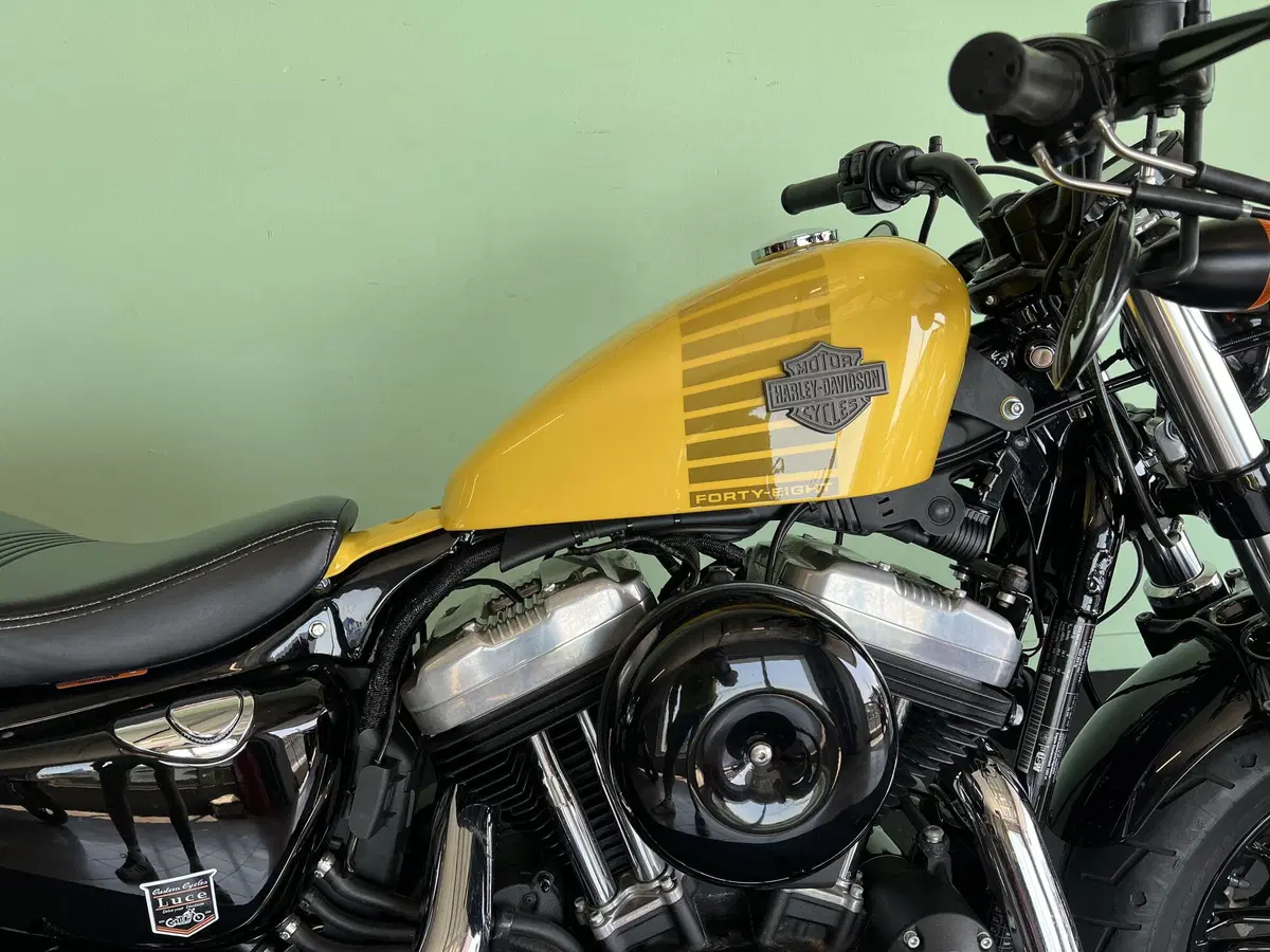 Harley-Davidson XL 1200 X Forty-Eight (2018) (11)