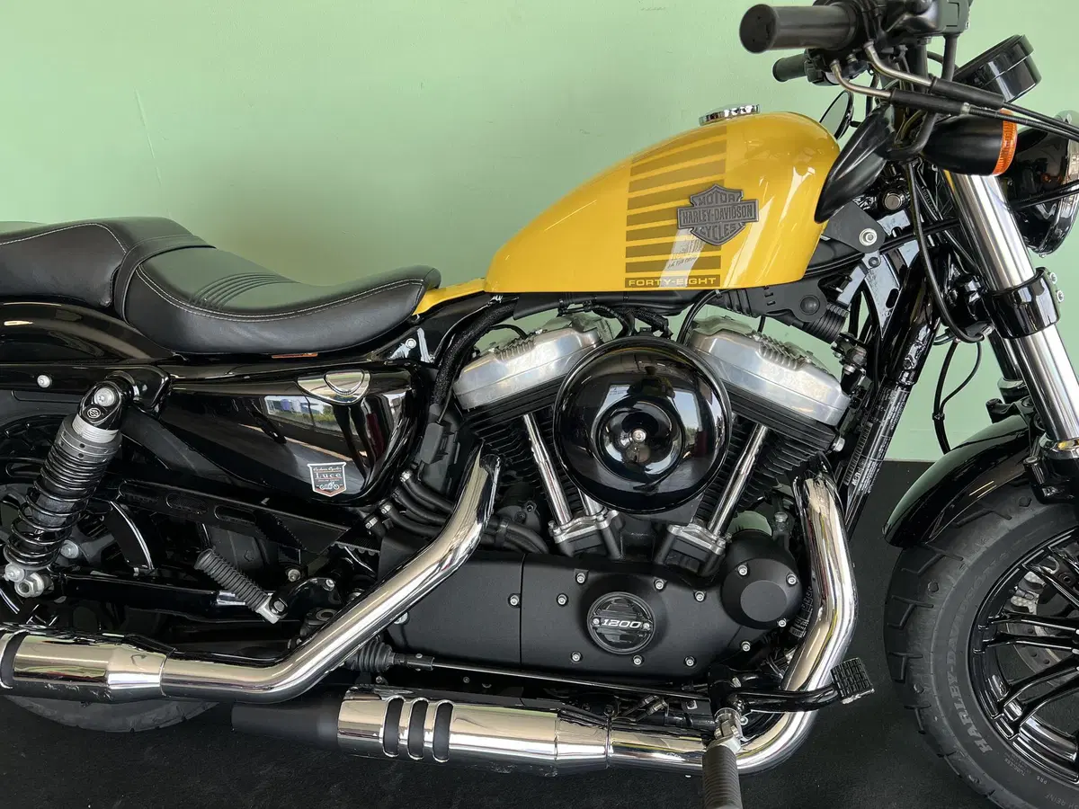 Harley-Davidson XL 1200 X Forty-Eight (2018) (12)