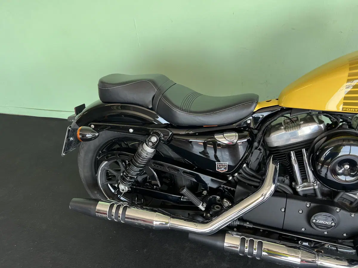 Harley-Davidson XL 1200 X Forty-Eight (2018) (13)