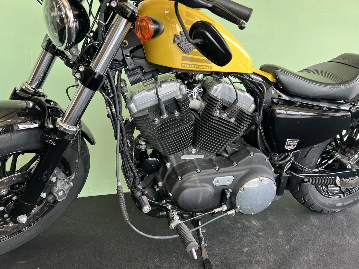 Harley-Davidson XL 1200 X Forty-Eight (2018) (15)