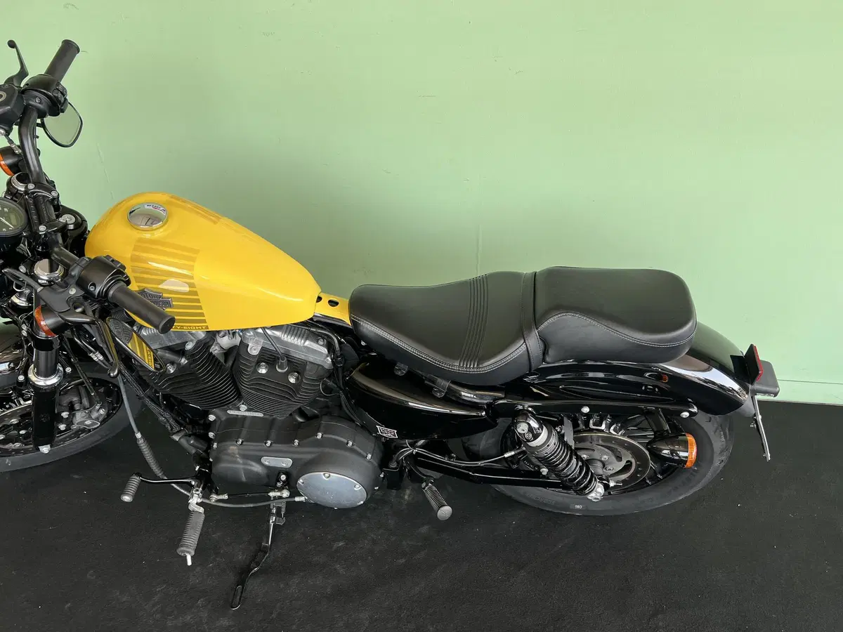 Harley-Davidson XL 1200 X Forty-Eight (2018) (17)