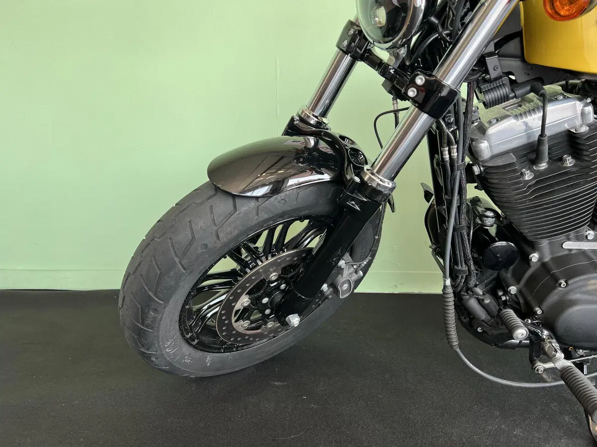 Harley-Davidson XL 1200 X Forty-Eight (2018) (18)