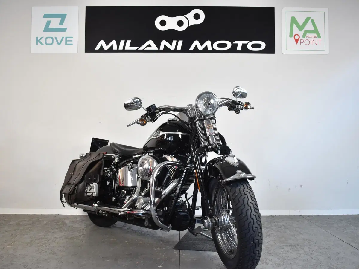 Harley-Davidson 1450 Springer (2005 - 06) - FXSTSI (2)