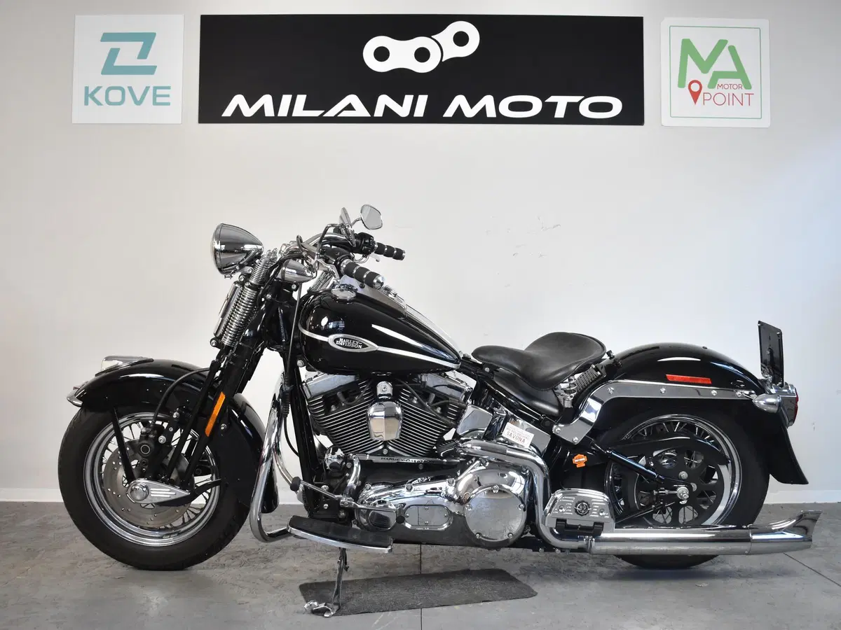 Harley-Davidson 1450 Springer (2005 - 06) - FXSTSI (4)