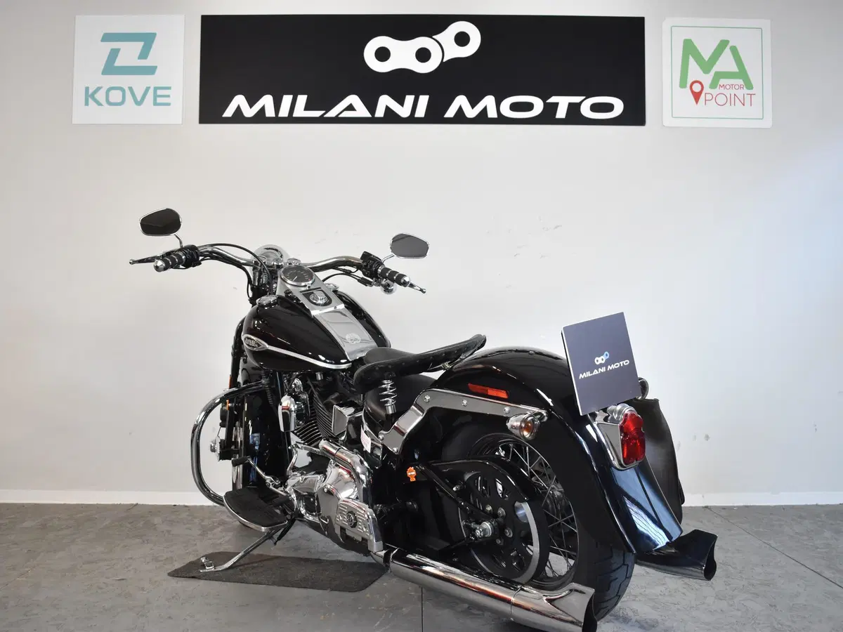 Harley-Davidson 1450 Springer (2005 - 06) - FXSTSI (5)