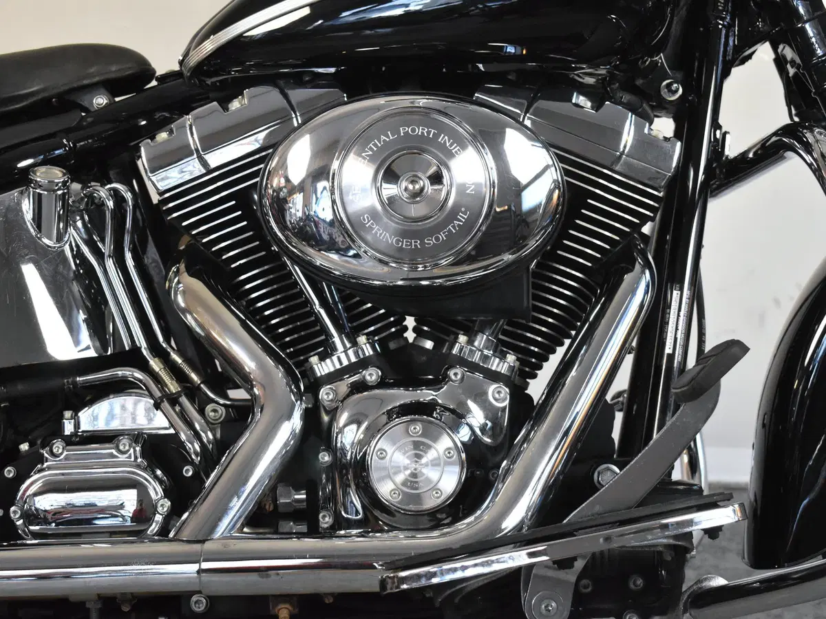 Harley-Davidson 1450 Springer (2005 - 06) - FXSTSI (11)