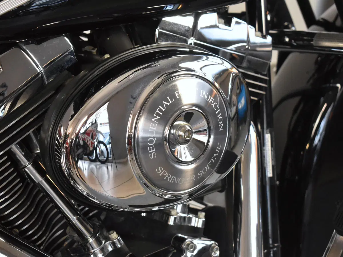 Harley-Davidson 1450 Springer (2005 - 06) - FXSTSI (13)