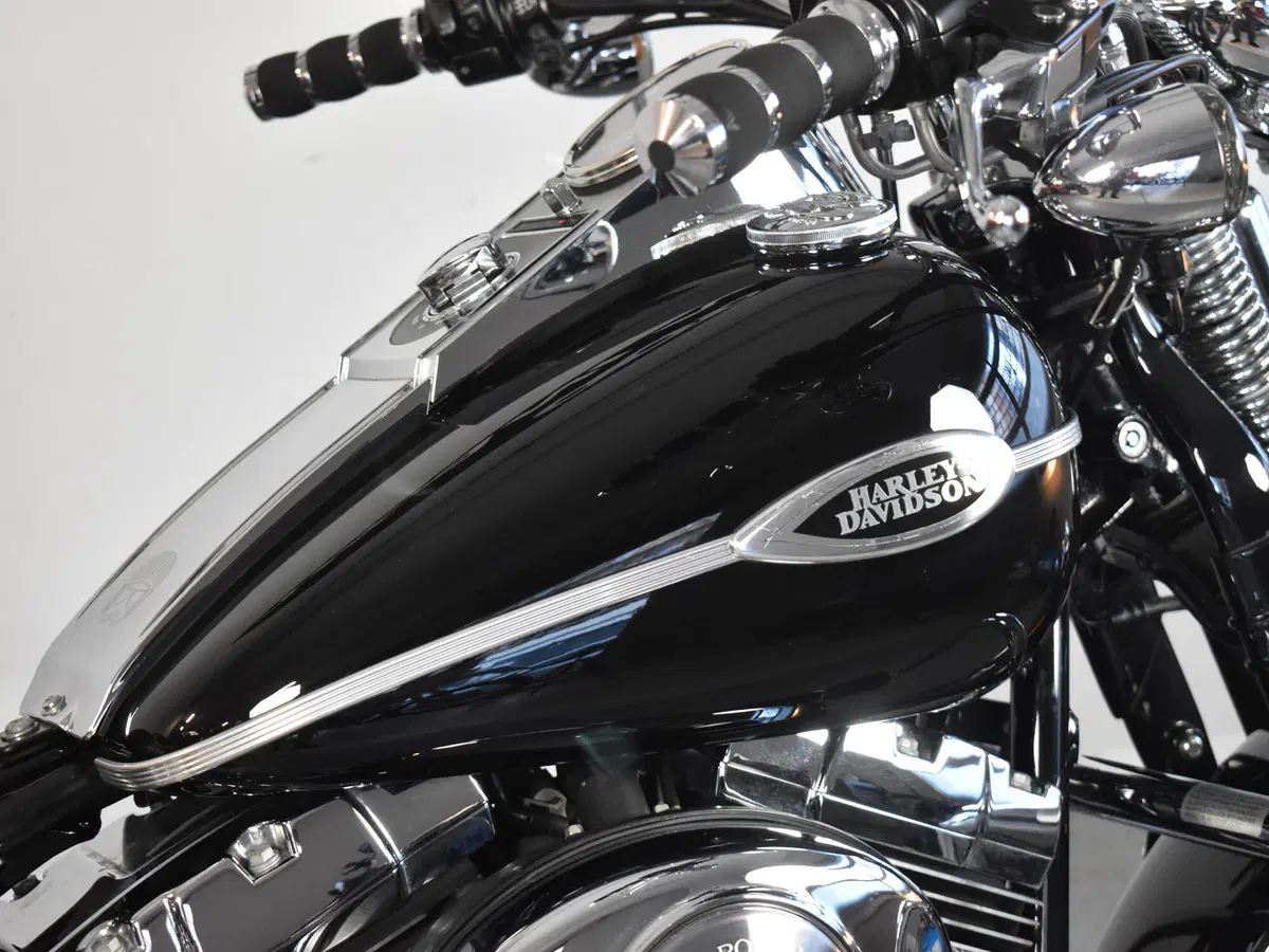 Harley-Davidson 1450 Springer (2005 - 06) - FXSTSI (14)
