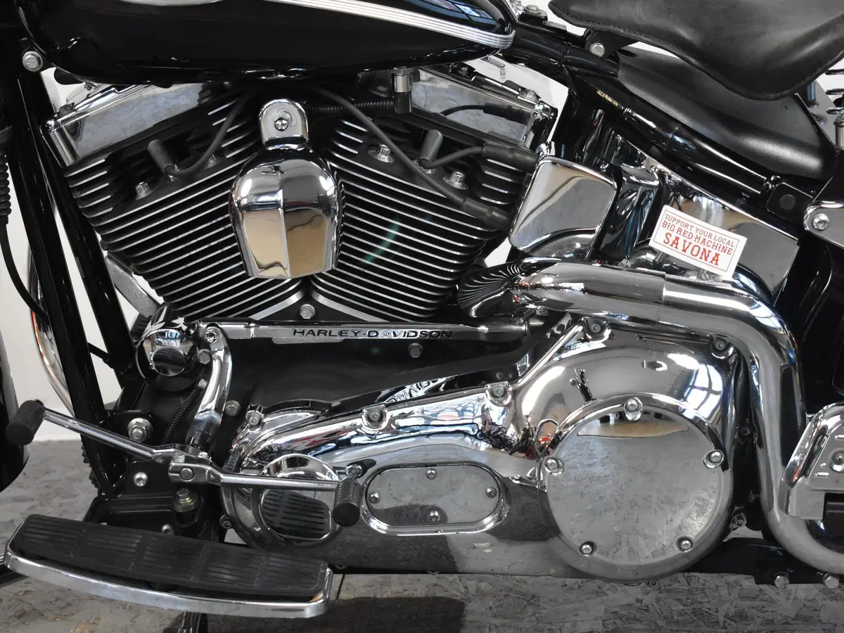 Harley-Davidson 1450 Springer (2005 - 06) - FXSTSI (17)