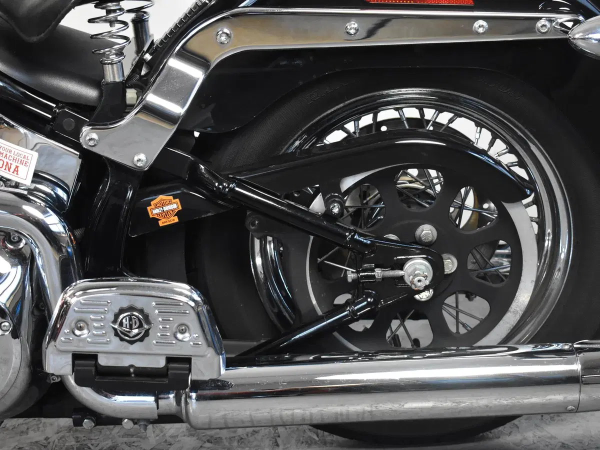 Harley-Davidson 1450 Springer (2005 - 06) - FXSTSI (18)