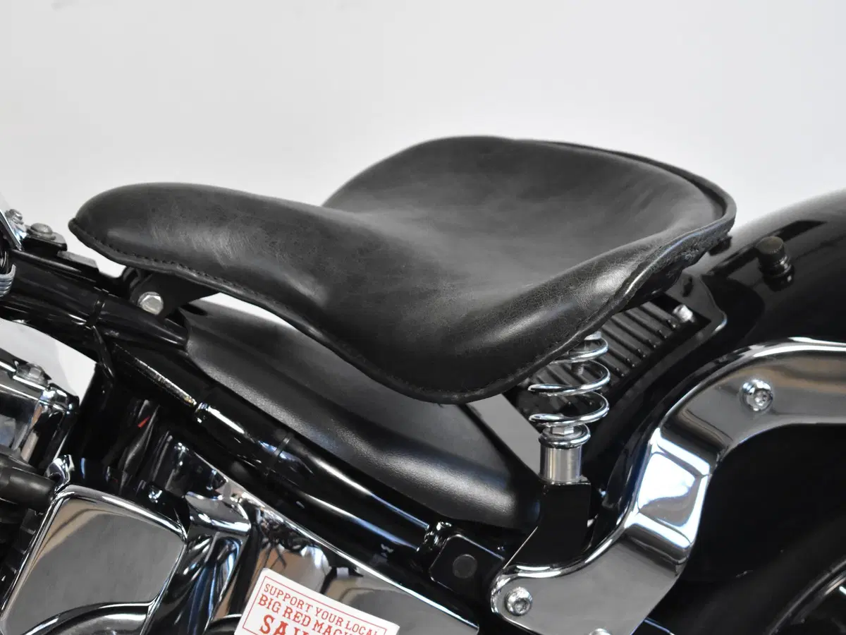 Harley-Davidson 1450 Springer (2005 - 06) - FXSTSI (19)