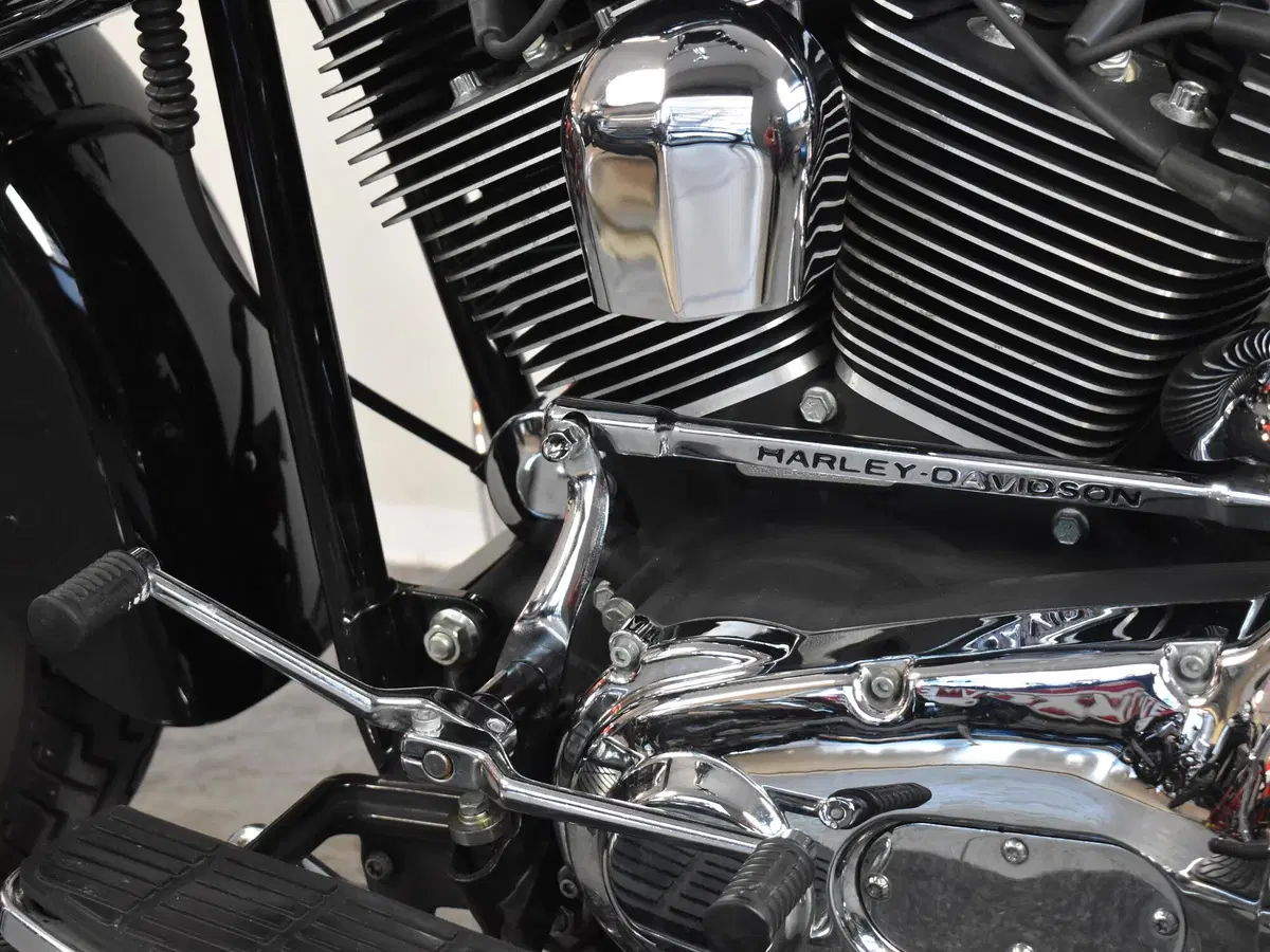 Harley-Davidson 1450 Springer (2005 - 06) - FXSTSI (20)
