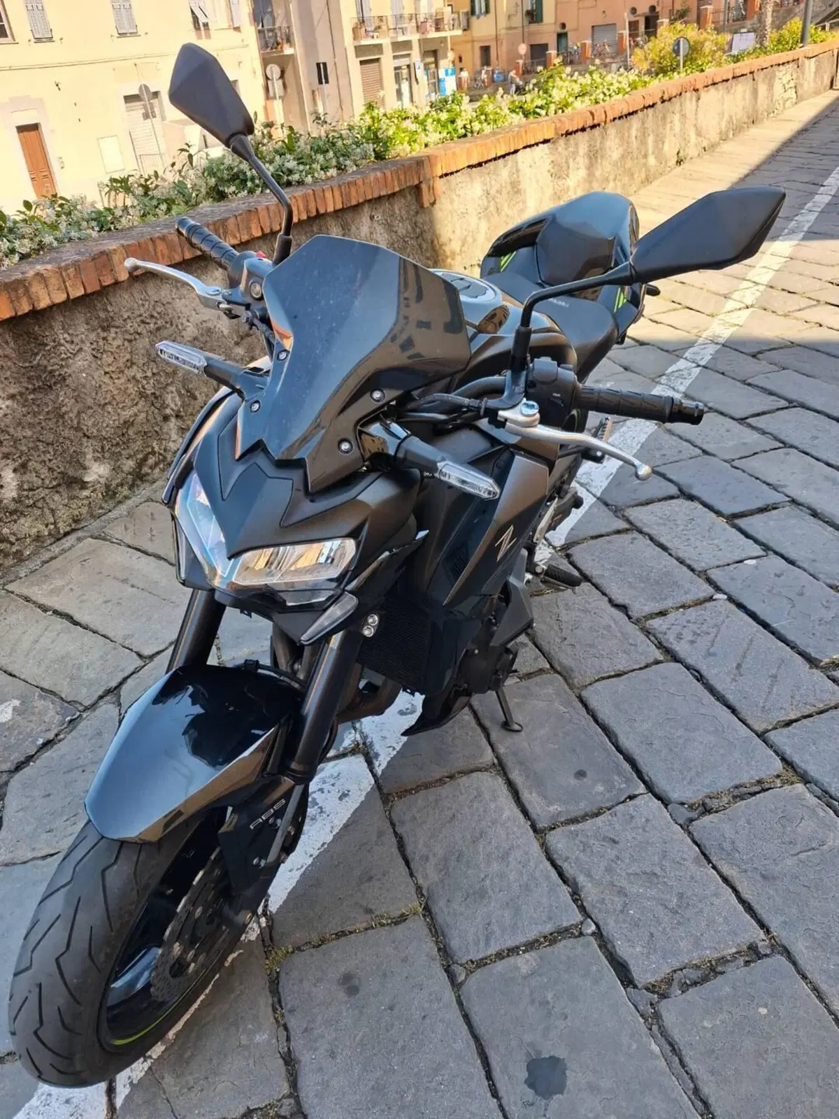 Kawasaki Z 900 Performance (2021 - 24) (8)