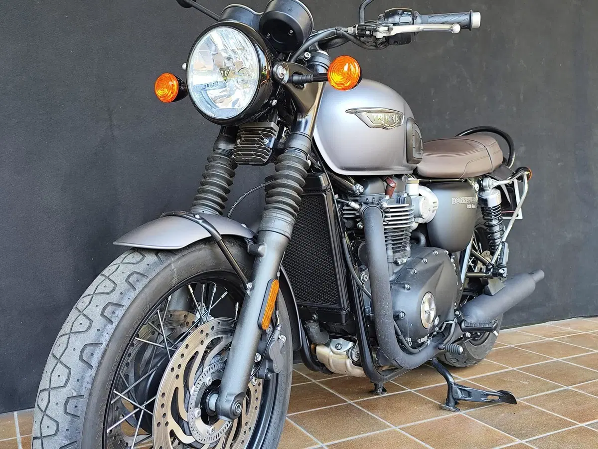 Triumph Bonneville T120 Black (2017 - 20) (6)