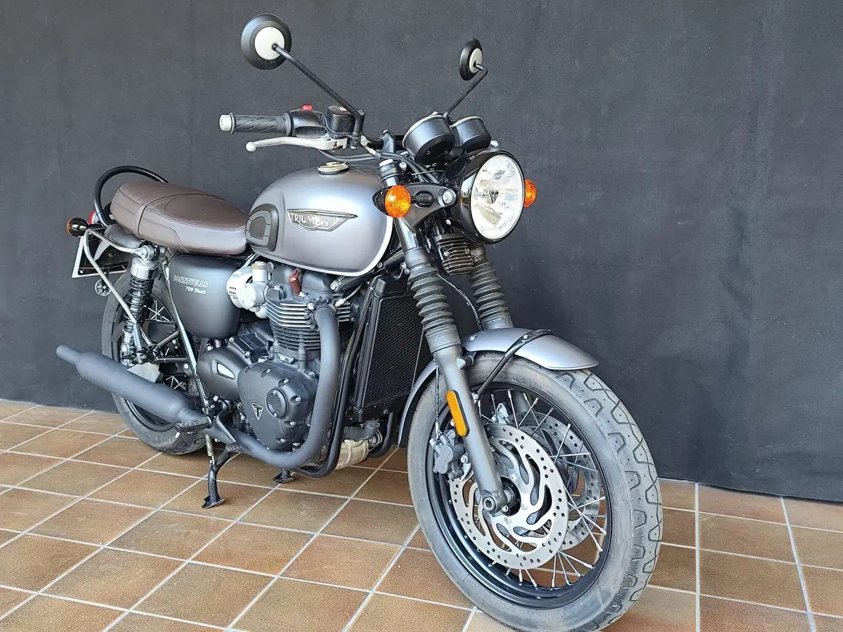Triumph Bonneville T120 Black (2017 - 20) (8)