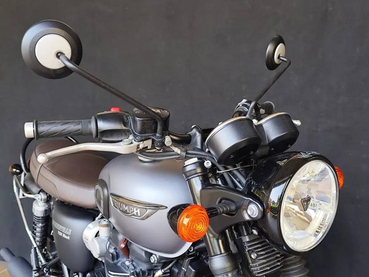 Triumph Bonneville T120 Black (2017 - 20) (9)