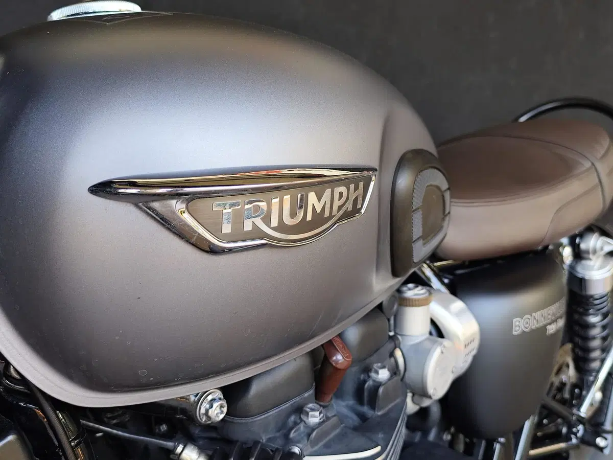Triumph Bonneville T120 Black (2017 - 20) (14)