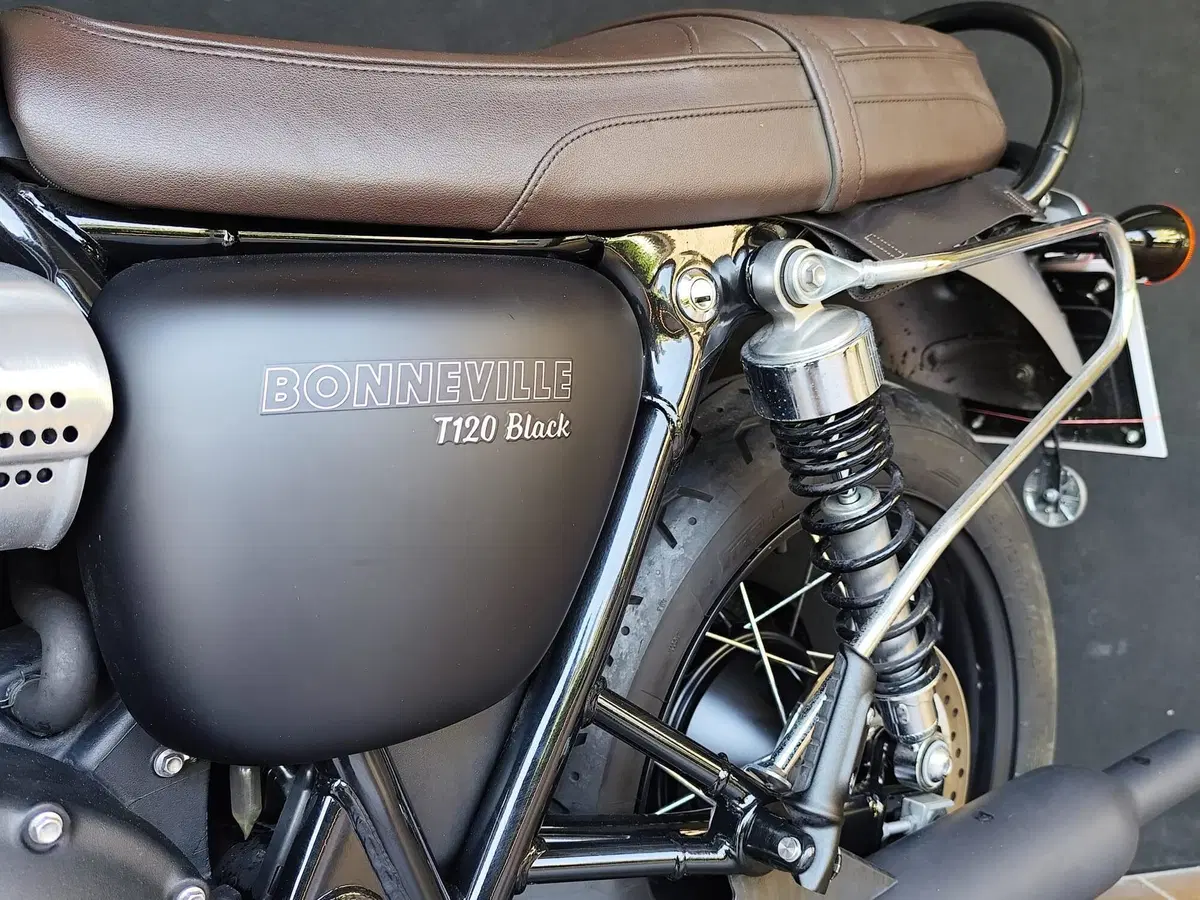 Triumph Bonneville T120 Black (2017 - 20) (15)