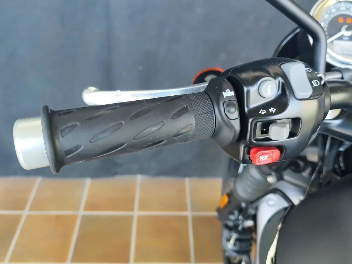Triumph Bonneville T120 Black (2017 - 20) (19)