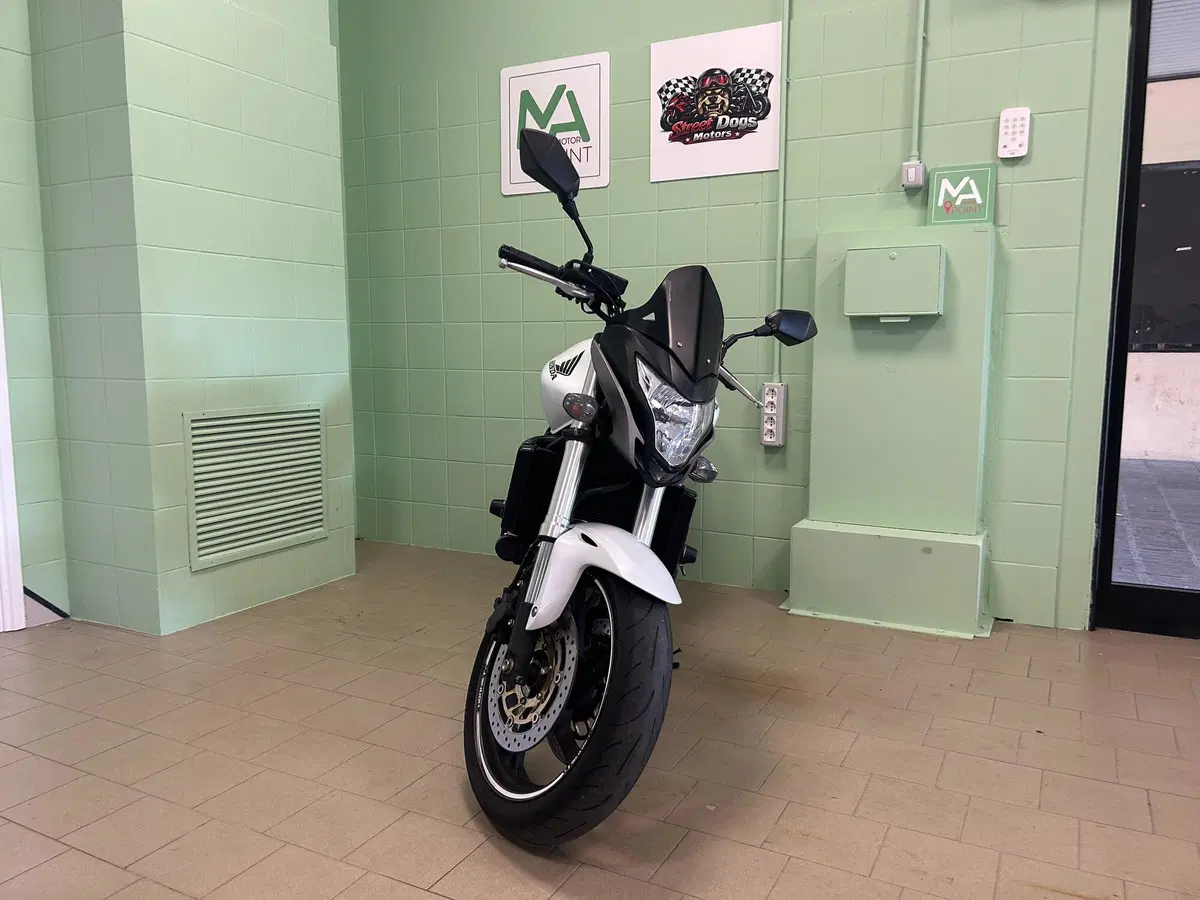 Honda Hornet 600 (2011 - 13) (3)